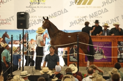 JHM_3613