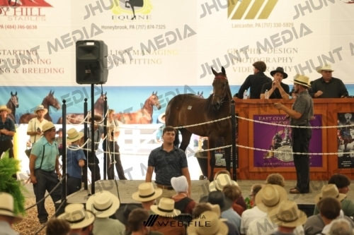 JHM_3624