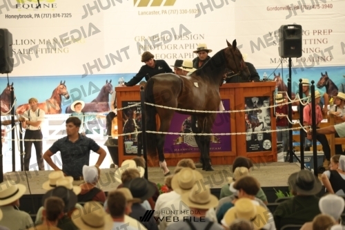 JHM_3644