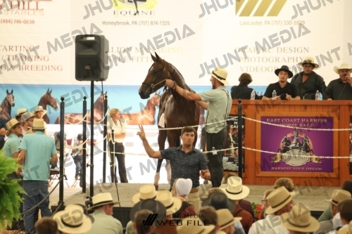 JHM_3646