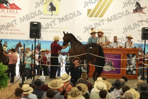 JHM_2859
