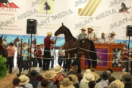JHM_2860