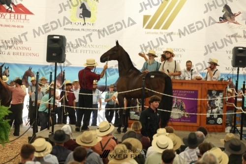 JHM_2861