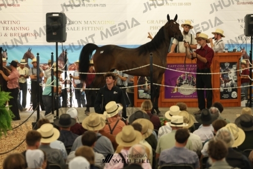 JHM_2865