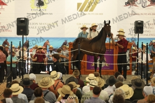 JHM_2867