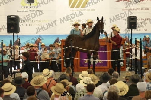 JHM_2868