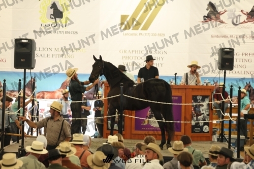 JHM_3410