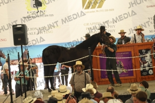 JHM_3414