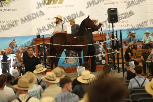 JHM_3713