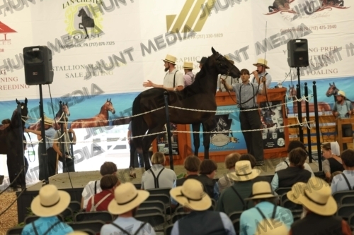 JHM_6100