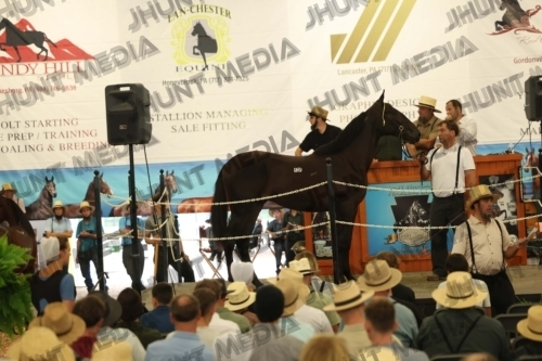 JHM_4021