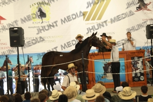 JHM_4058