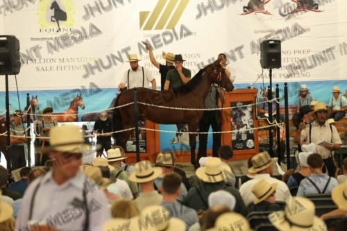 JHM_4070