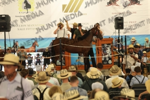 JHM_4072