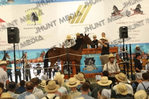 JHM_4074