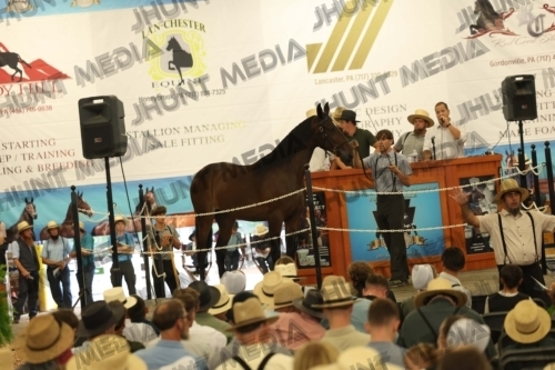JHM_4097