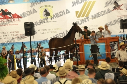 JHM_4098