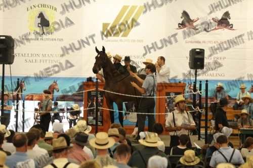 JHM_4100