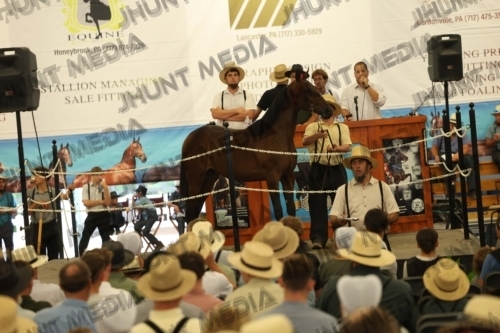 JHM_4141