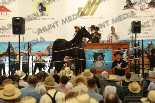 JHM_4146