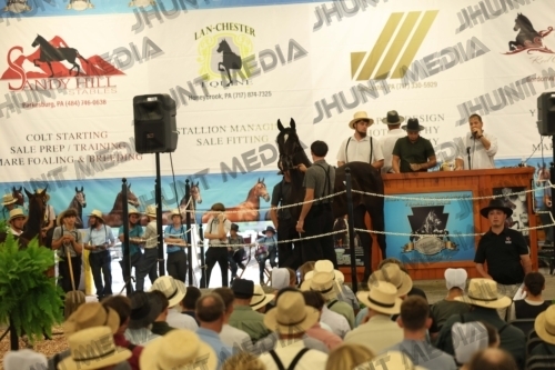 JHM_4149