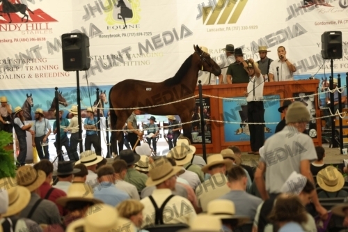 JHM_4156