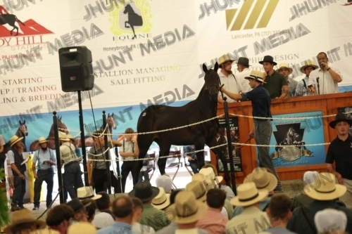 JHM_4171