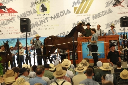 JHM_4193
