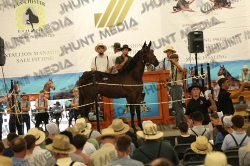 JHM_4226