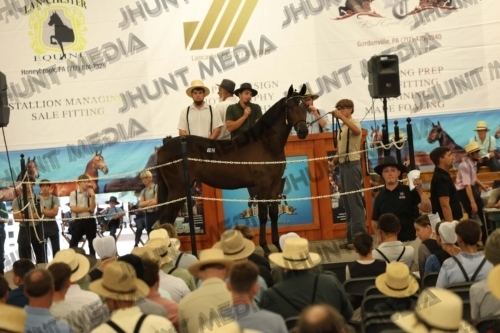 JHM_4227