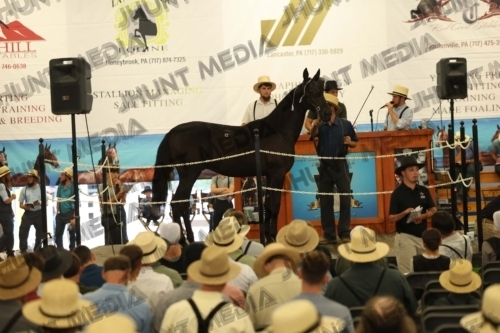 JHM_4241