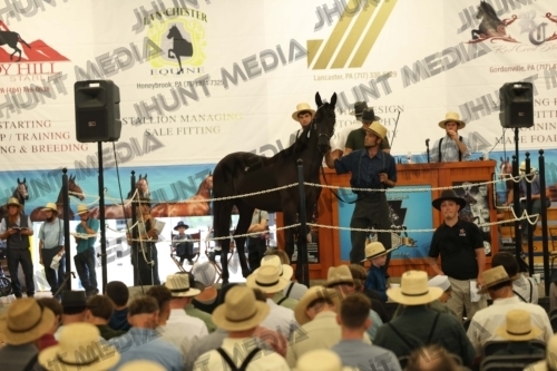 JHM_4246