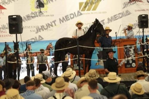 JHM_4258
