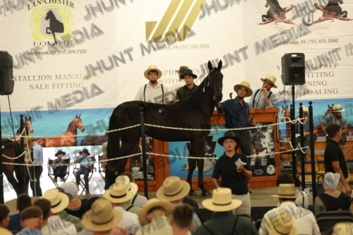 JHM_4259