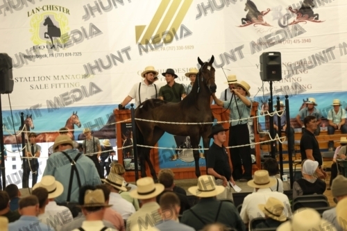 JHM_4263