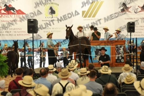 JHM_4273