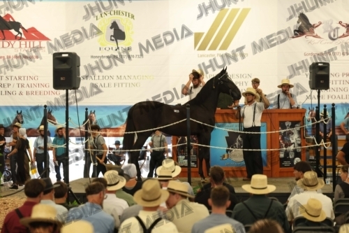 JHM_4277