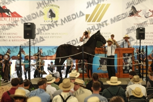 JHM_4278