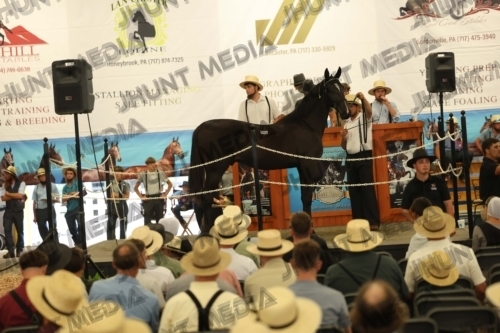 JHM_4290
