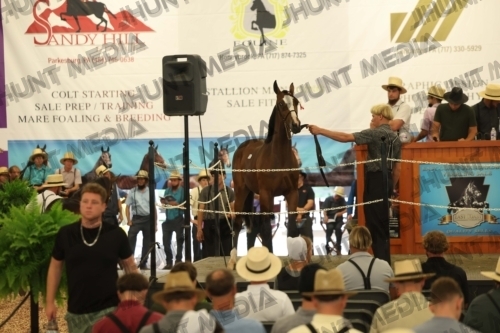 JHM_4391