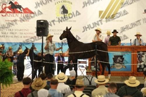 JHM_4434