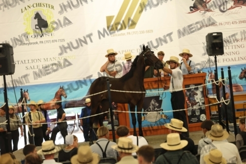 JHM_4456