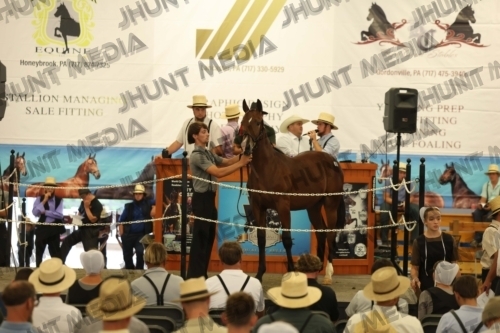JHM_4481