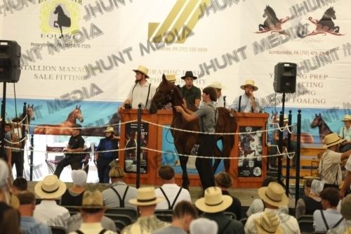 JHM_4482