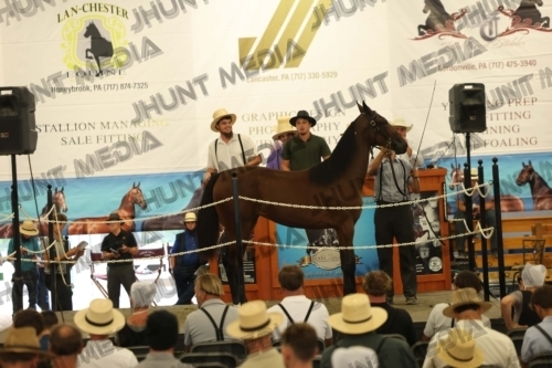 JHM_4497