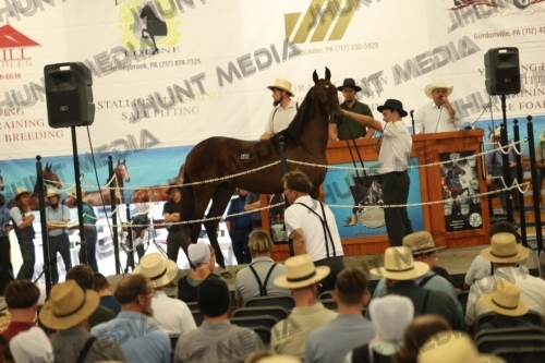 JHM_4528