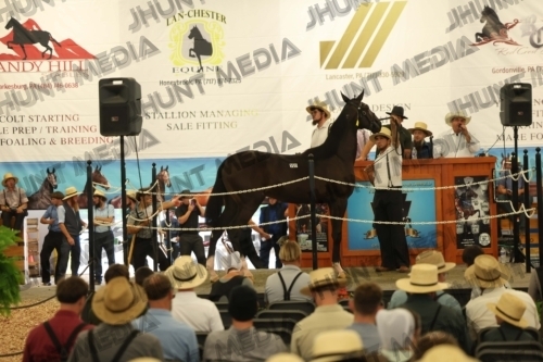 JHM_4533