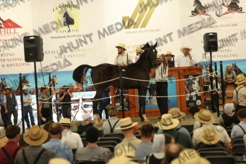 JHM_4538
