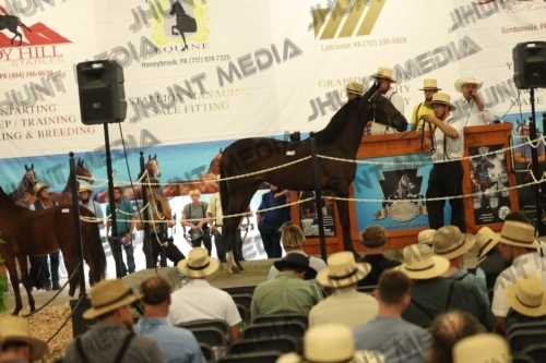 JHM_4607