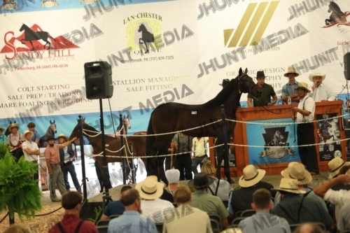JHM_4707